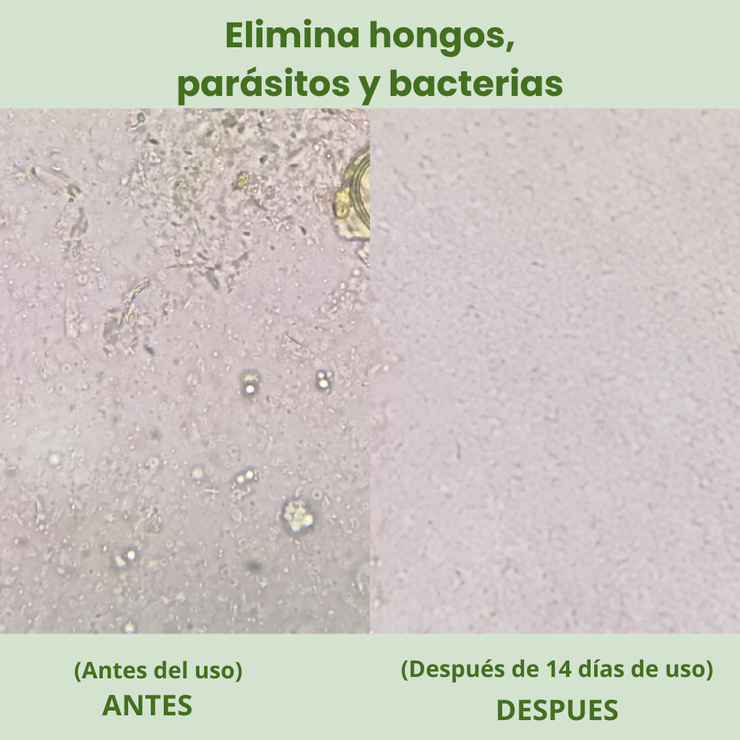 Alimora OregaMix: Aceite de orégano medicinal
